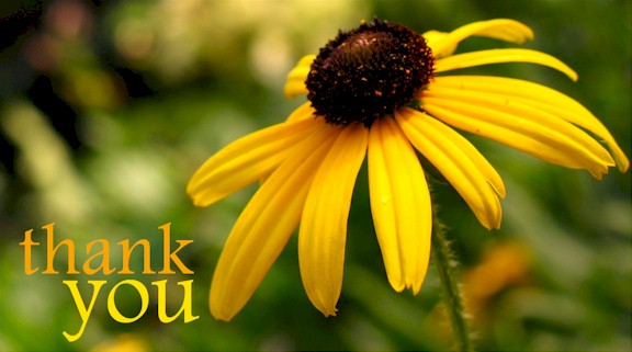 W.W. Greenhouses, Inc. :: Thank you...